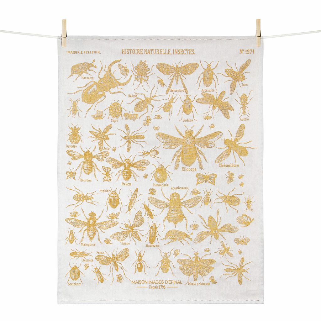 TORCHON HISTOIRE NATURELLE – INSECTES