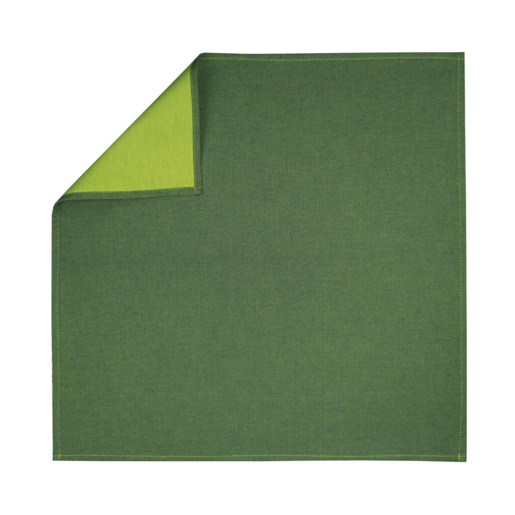 SERVIETTE VERT DE GRIS ENVERS POIVRE VERT