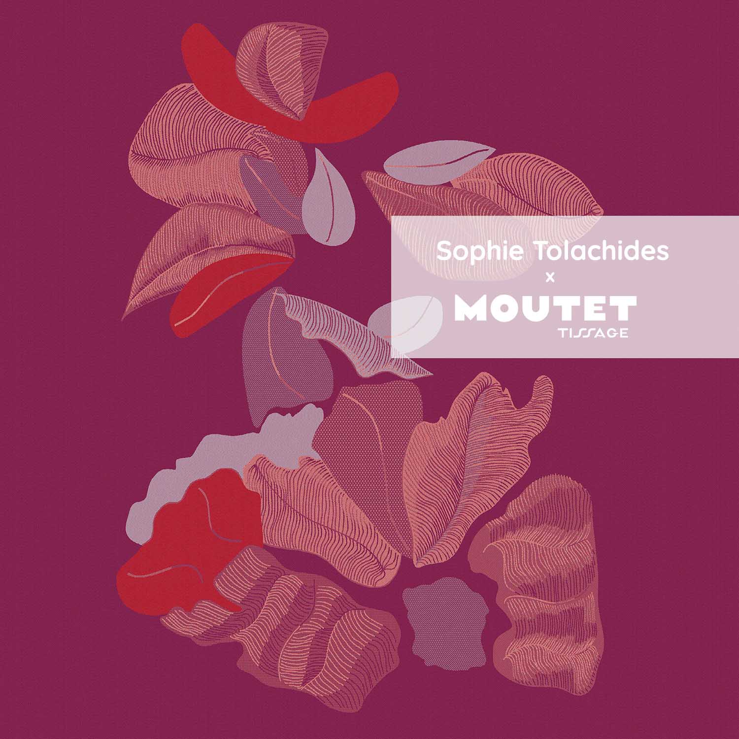 NAPPE PÉTALE – Image 7